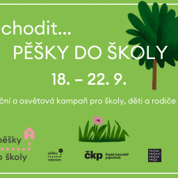 Budeš se mnou chodit... (3)